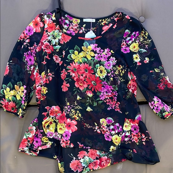 2/$15 Floral Sheer Blouse - Picture 1 of 2